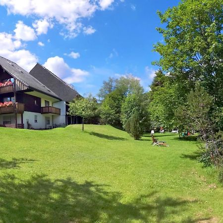 Naturidyll Am Fluss - Ferienhaus Albmatte - Grosser Garten Zum Grillen Und Entspannen-Direkt Neben Dem Radon Revitalbad Mit Sauna Und Thermalbecken St. Blasien Zewnętrze zdjęcie