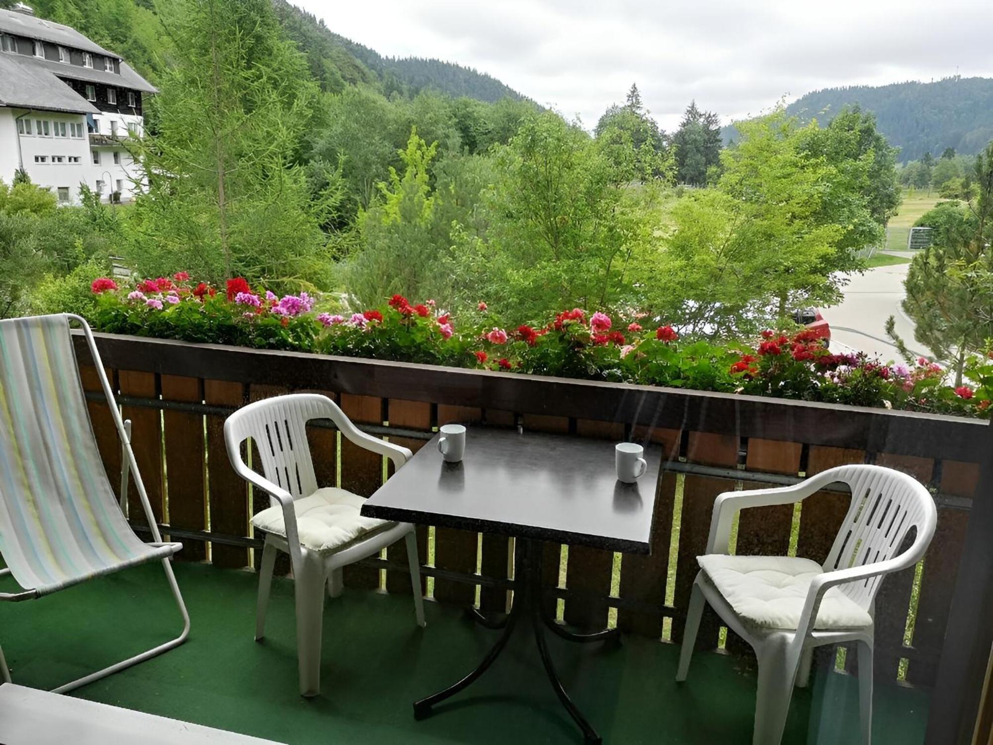 Naturidyll Am Fluss - Ferienhaus Albmatte - Grosser Garten Zum Grillen Und Entspannen-Direkt Neben Dem Radon Revitalbad Mit Sauna Und Thermalbecken St. Blasien Zewnętrze zdjęcie